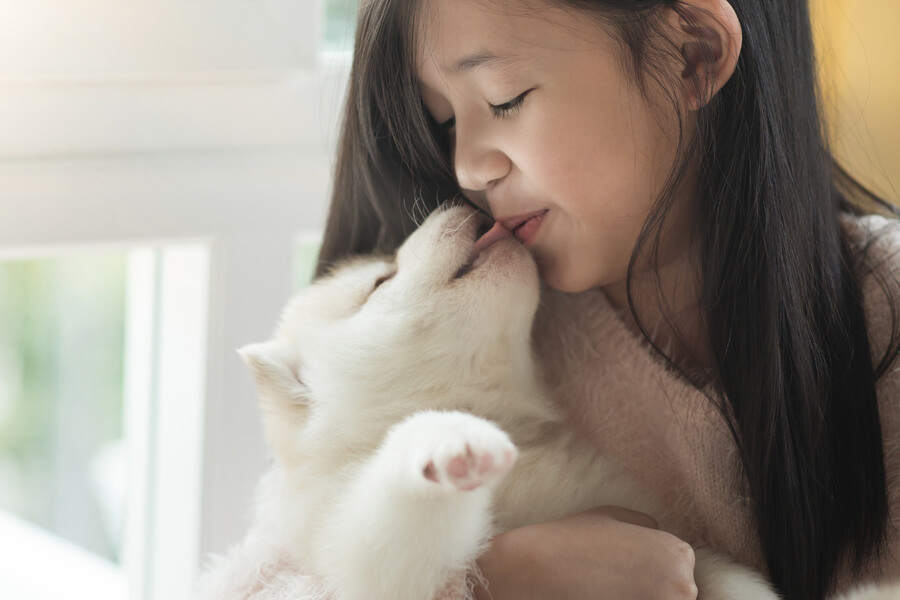 犬が飼い主の顔を舐めるのは愛情表現？舐めてくる部位によって変わる愛犬の心理とは