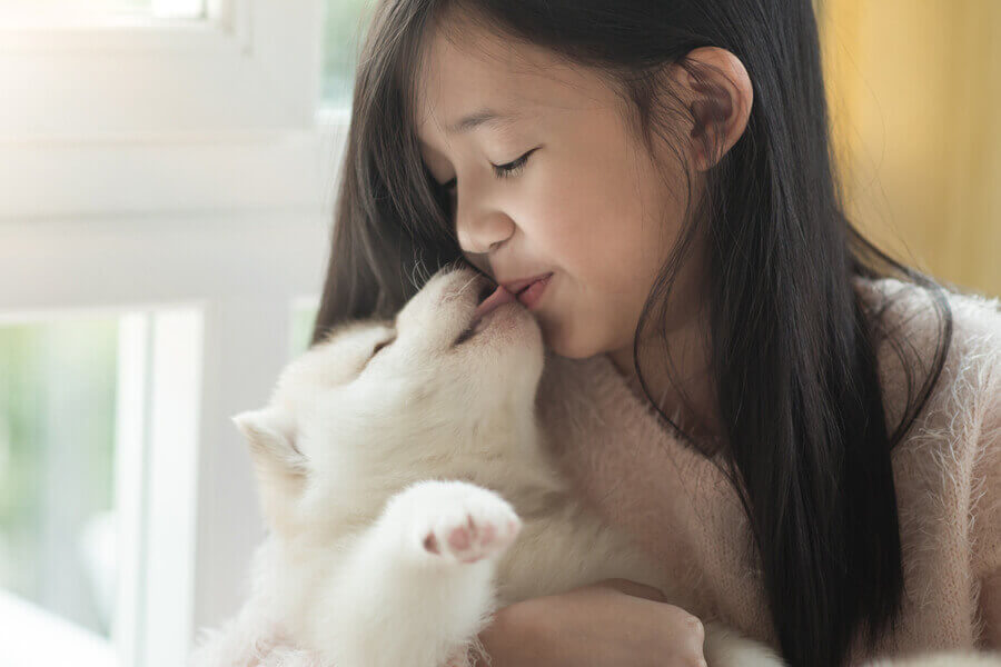 犬が飼い主の顔を舐めるのは愛情表現 舐めてくる部位によって変わる愛犬の心理とは わんこラボ