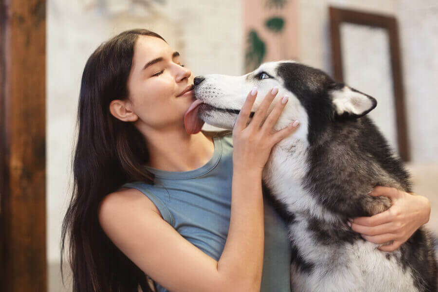 犬が飼い主の顔を舐めるのは愛情表現 舐めてくる部位によって変わる愛犬の心理とは わんこラボ