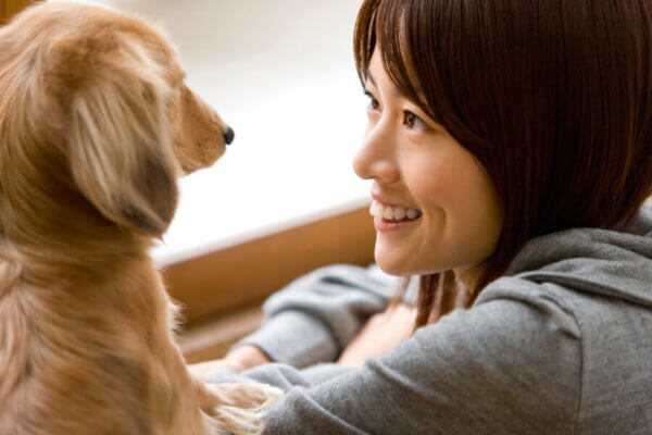 犬もヤキモチをやくって本当?飼い主さんを独占したい犬の嫉妬と対処法