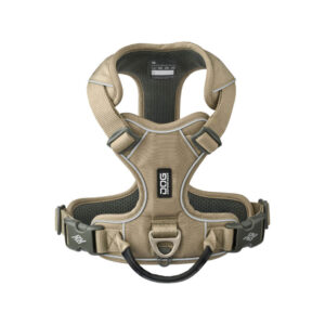 デザートデューン