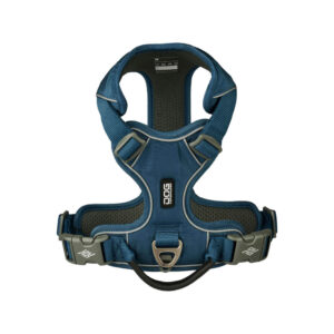 オーシャンブルー