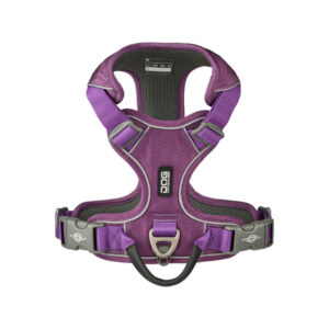 パープルパッション