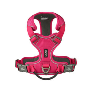 ワイルドローズ