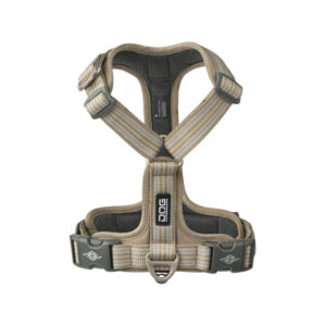 デザートデューン