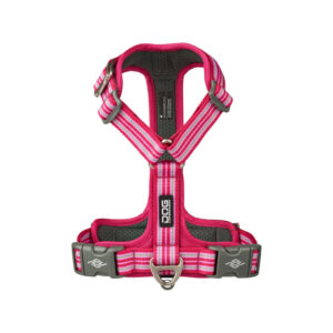 ワイルドローズ