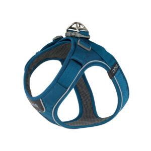 オーシャンブルー