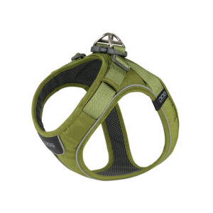 ハンターグリーン