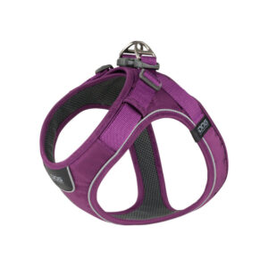 パープルパッション