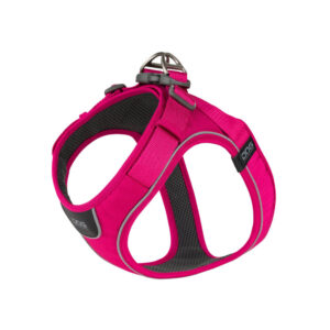 ワイルドローズ